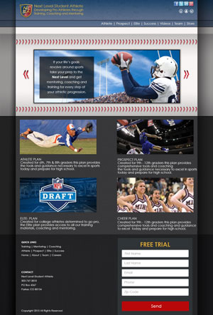 NLSA-ResponsiveWebDesignS