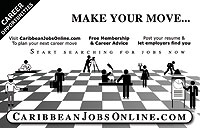 Newspaper Print Advertisement Designer